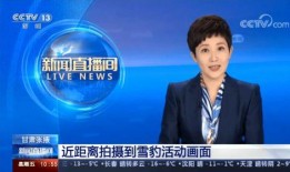 甘肃爆料最新新闻报道